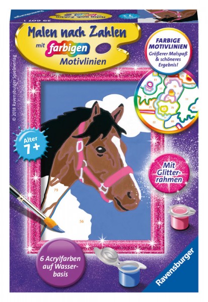 Malen nach Zahlen Pferd mit Glitter-Rahmen